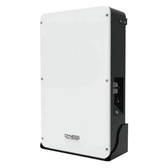 DynessLithium Battery | Repair Service