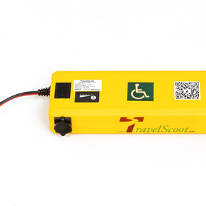 TravelScoot Mobility Scooter Battery | Rebuild Service