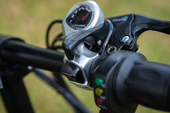 Alice 500W MTB 05Z