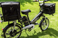 Alice Delivery Ebike - Image 1