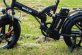 Alice 500W MTB 05Z - Image 1