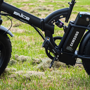 Alice 500W MTB 05Z