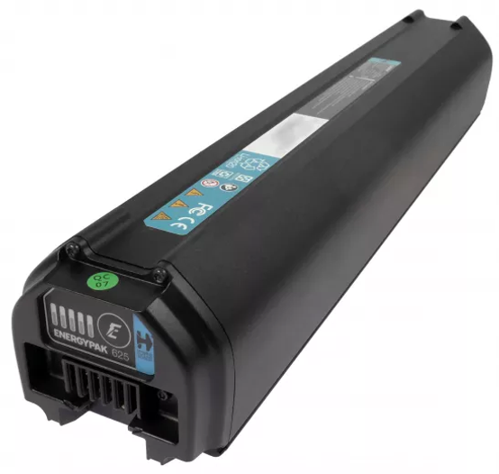 GIANT e-Bike Battery | Restoration Service