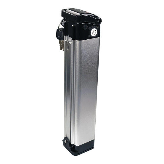 Silverfish 36/48/52V | Rebuild Service